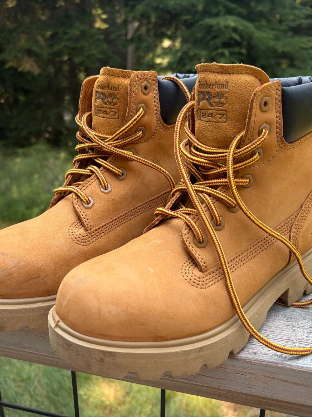 Timberland PRO Sawhorse 6" Composite Safety Toe US Men's 7 Wide/Women's 8.5 Wide